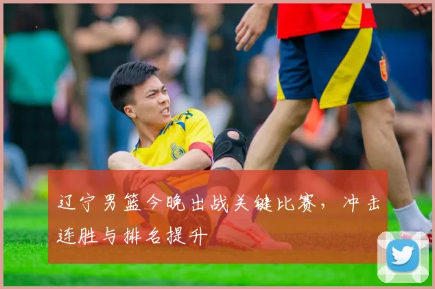 辽宁男篮今晚出战关键比赛,冲击连胜与排名提升