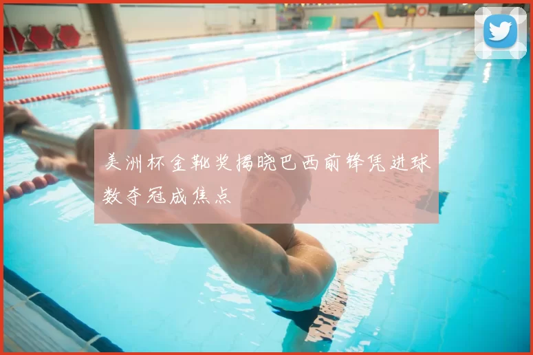 美洲杯金靴奖揭晓巴西前锋凭进球数夺冠成焦点