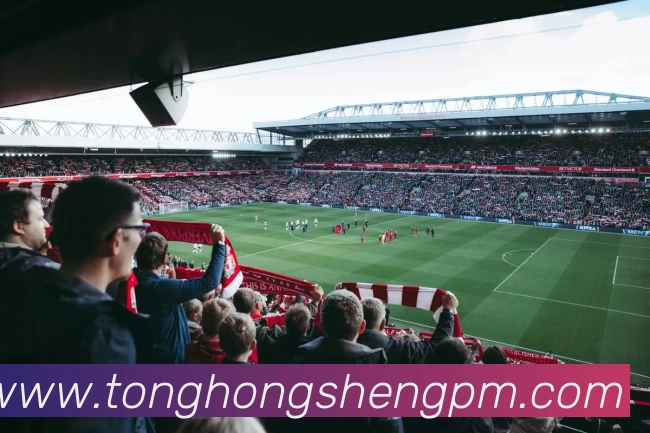 开云·官方端网页版登录入口 - 开云(中国)品牌故事